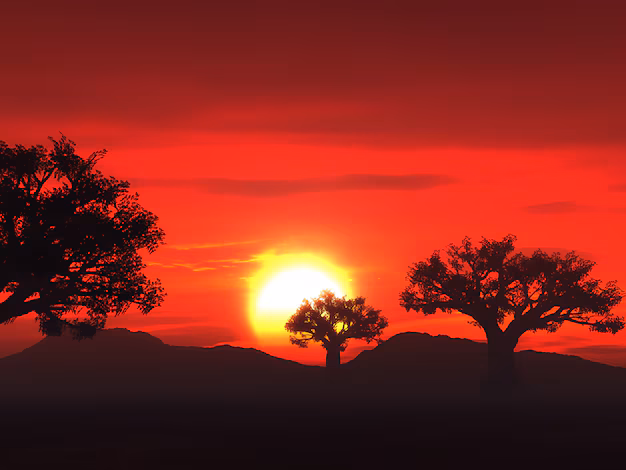 Sidai Resort About Us Hero