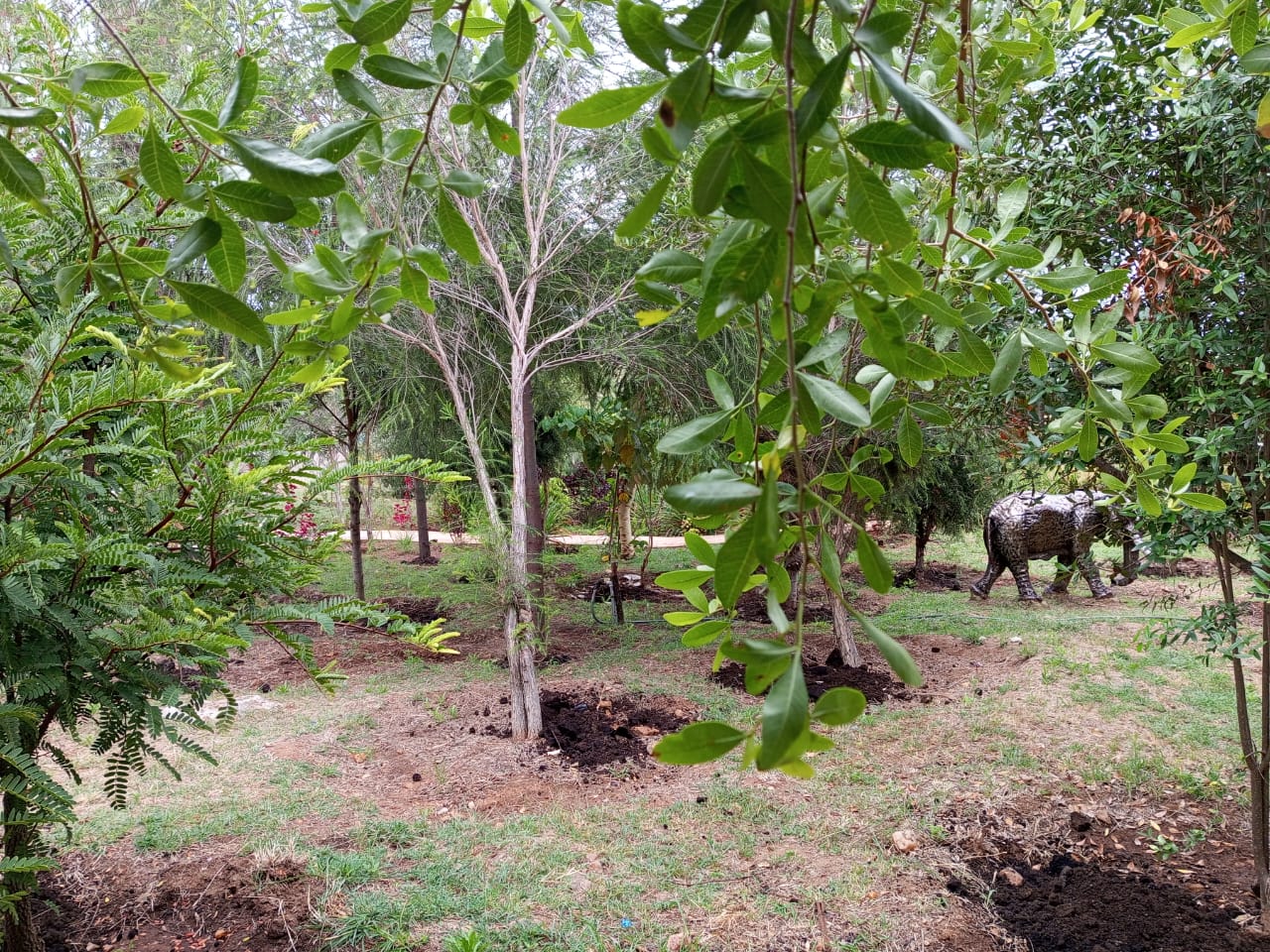 Poolside view at Sidai Resort